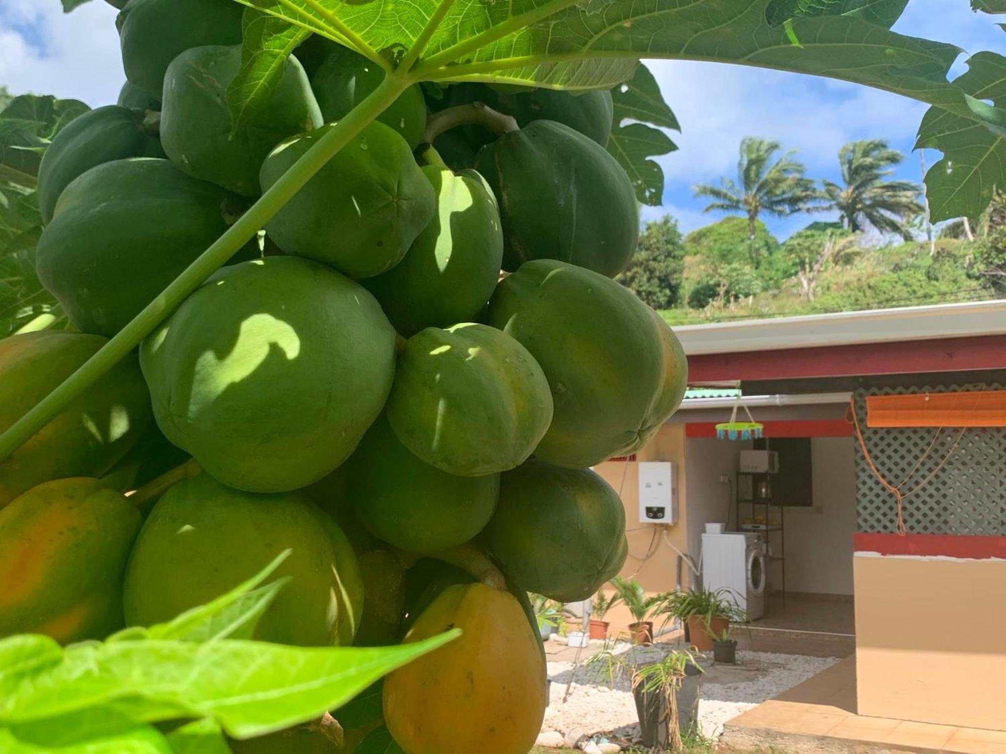 Отель Lemon House Maroe Экстерьер фото